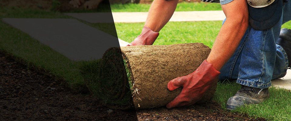 Reinholds Landscapers